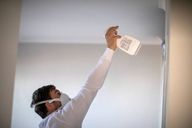Best Mold Damage Repair  in Steger, IL